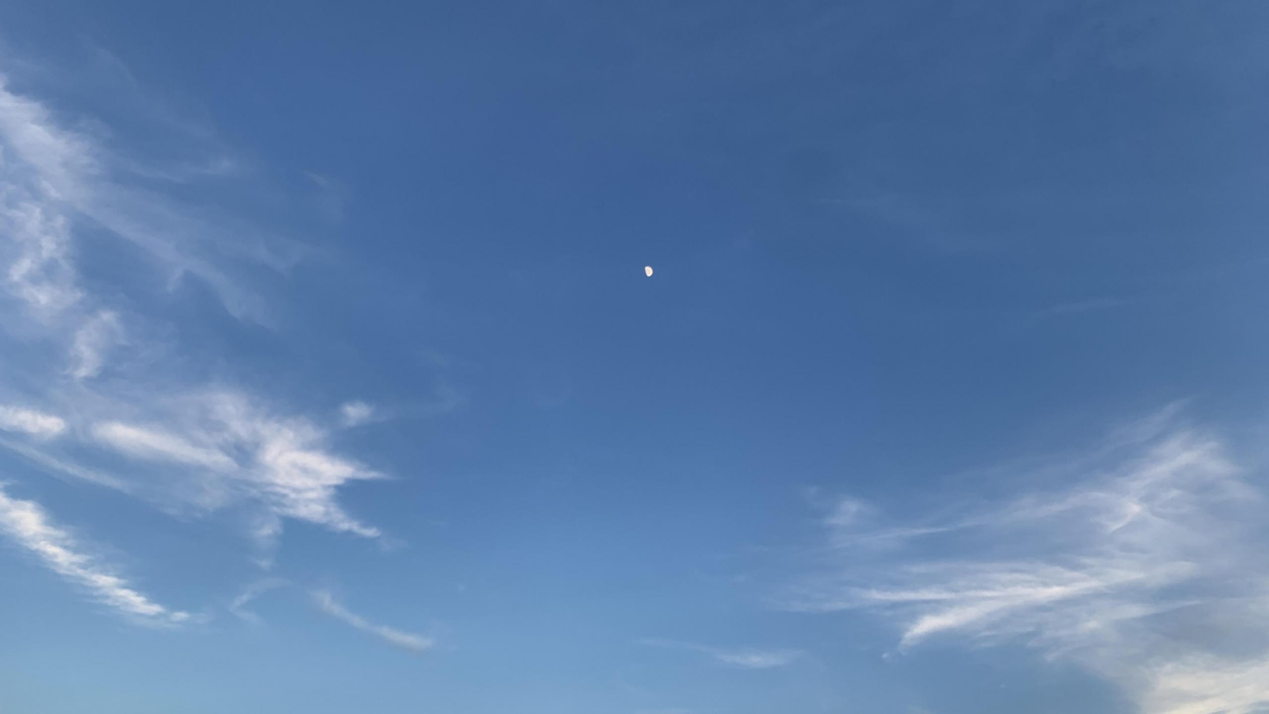 珠海最美城市排行榜(珠海最漂亮的地方是哪里)