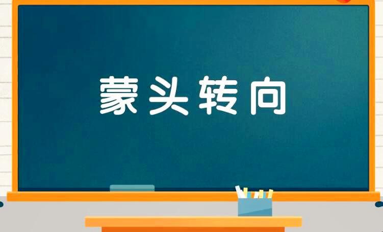 蒙頭轉向是什么意思