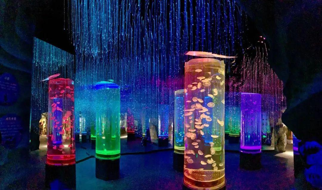 中國(guó)最大的海洋館排名前十(中國(guó)最好水族館的排行)