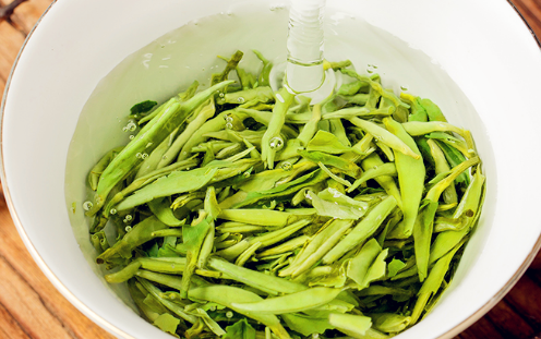 白毫銀針屬于綠茶嗎