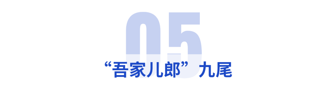 電競圈十大帥哥(電競界的顏值扛把子)