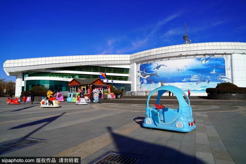 中國(guó)最大的海洋館排名前十(中國(guó)最好水族館的排行)