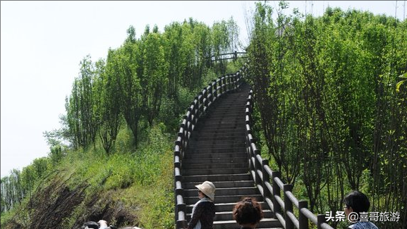 重慶主城好玩的地方排名榜（重慶巴南一日游必去的地方）