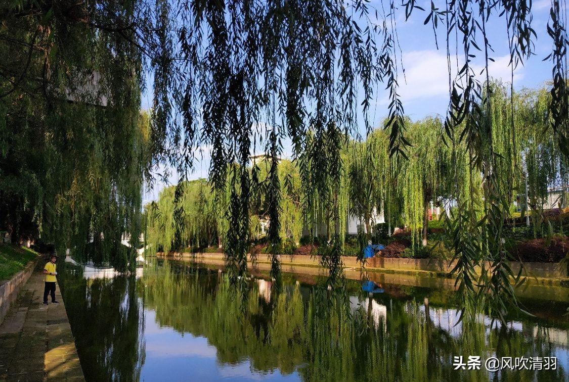 珠海宜居城市排名(廣東省最宜居的城市)