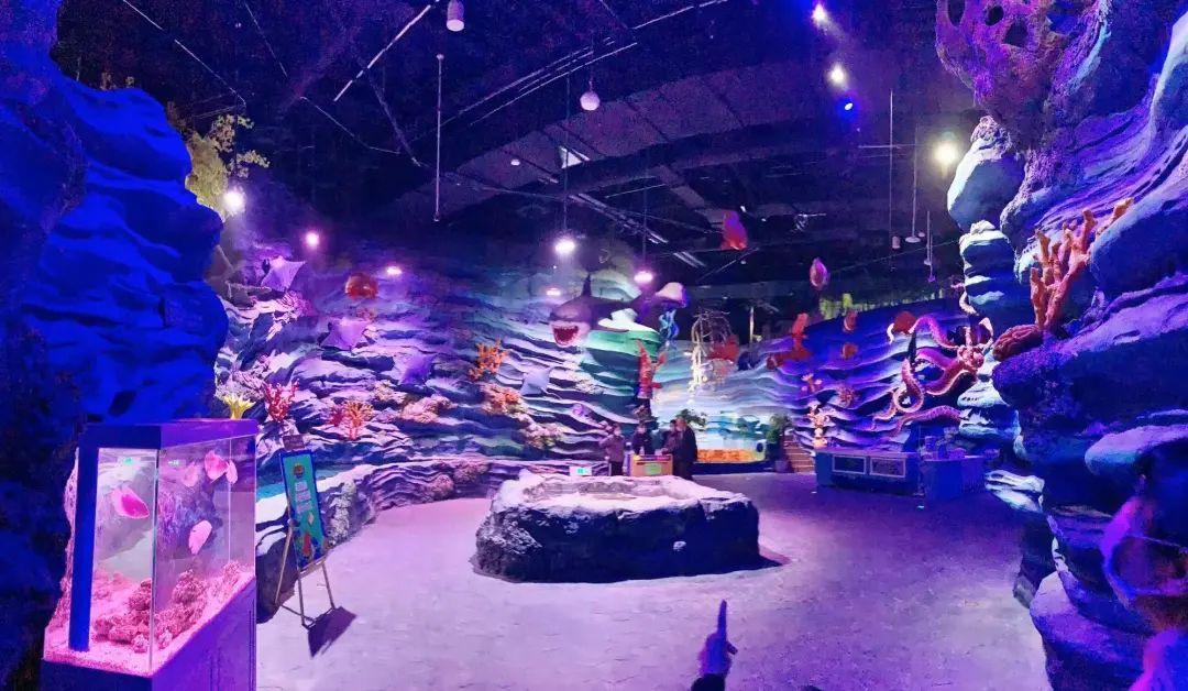 中國(guó)最大的海洋館排名前十(中國(guó)最好水族館的排行)