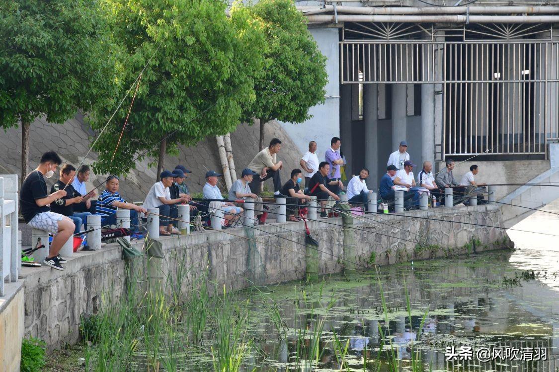 珠海宜居城市排名(廣東省最宜居的城市)