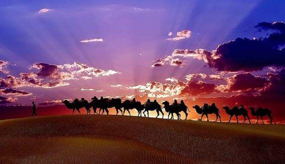 中國(guó)有什么特產(chǎn)(全國(guó)各地著名特產(chǎn)一覽表)