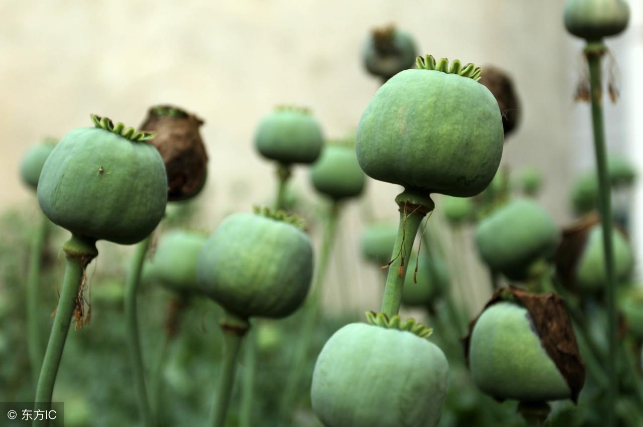 中國治安最差城市排名(三大治安最差城市)