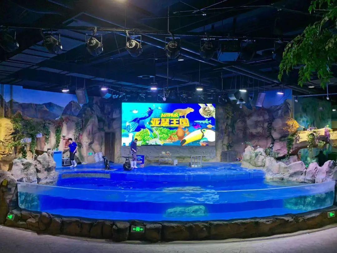 中國(guó)最大的海洋館排名前十(中國(guó)最好水族館的排行)