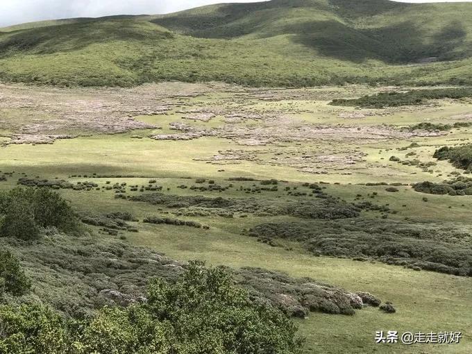 中國最貧困的地方是哪里(2021年還有多少個落后縣城)