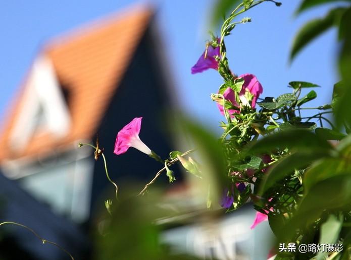 最適合養(yǎng)老居住的城市第一名是那個(gè)城市(最適合養(yǎng)老的城市排名)