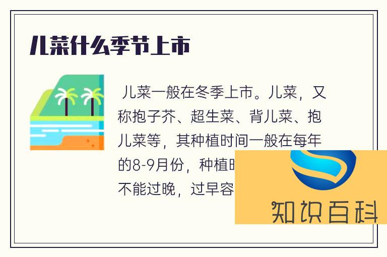 兒菜什么季節(jié)上市