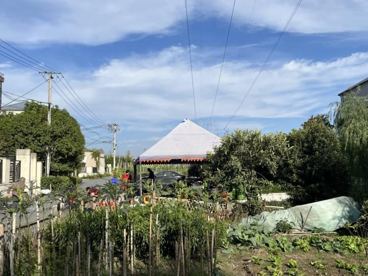 全國首個抱團養老實驗暫停2年