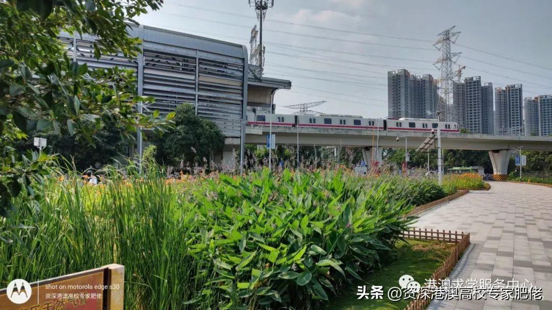 香港科技大學世界排名(香港科技大學有多厲害)