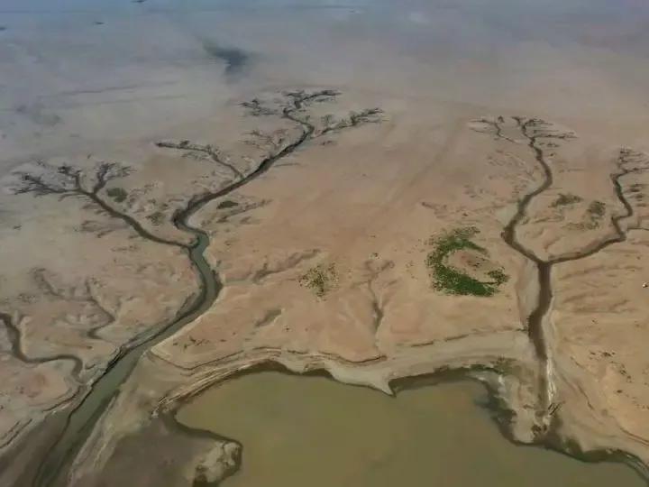 鄱陽湖上萬斤魚擱淺 20多人自費轉(zhuǎn)運 送萬斤擱淺魚到贛江