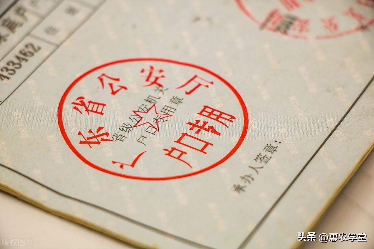 國家分戶口政策規定(2022年農村分戶政策)