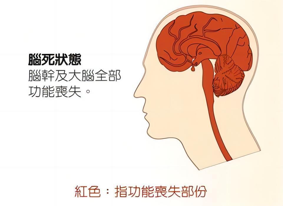 人死亡了去哪了(科學解釋人死后會去哪里)
