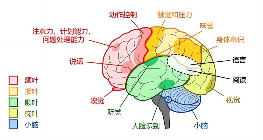 人死亡了去哪了(科學解釋人死后會去哪里)