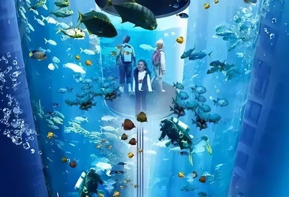 世界最大獨(dú)立圓柱體水族館爆裂,制造商介入調(diào)查