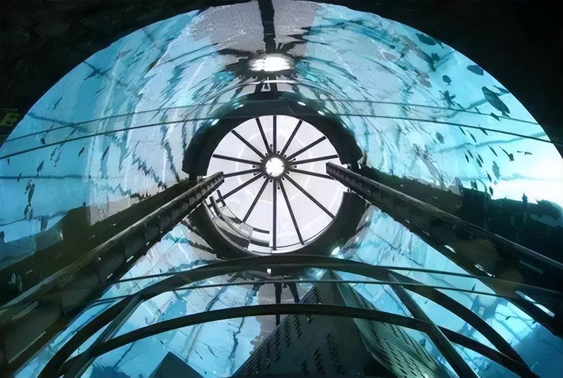 世界最大獨(dú)立圓柱體水族館爆裂,制造商介入調(diào)查