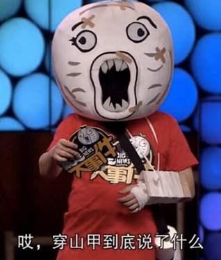 穿山甲到底說了什么（網(wǎng)絡(luò)梗）