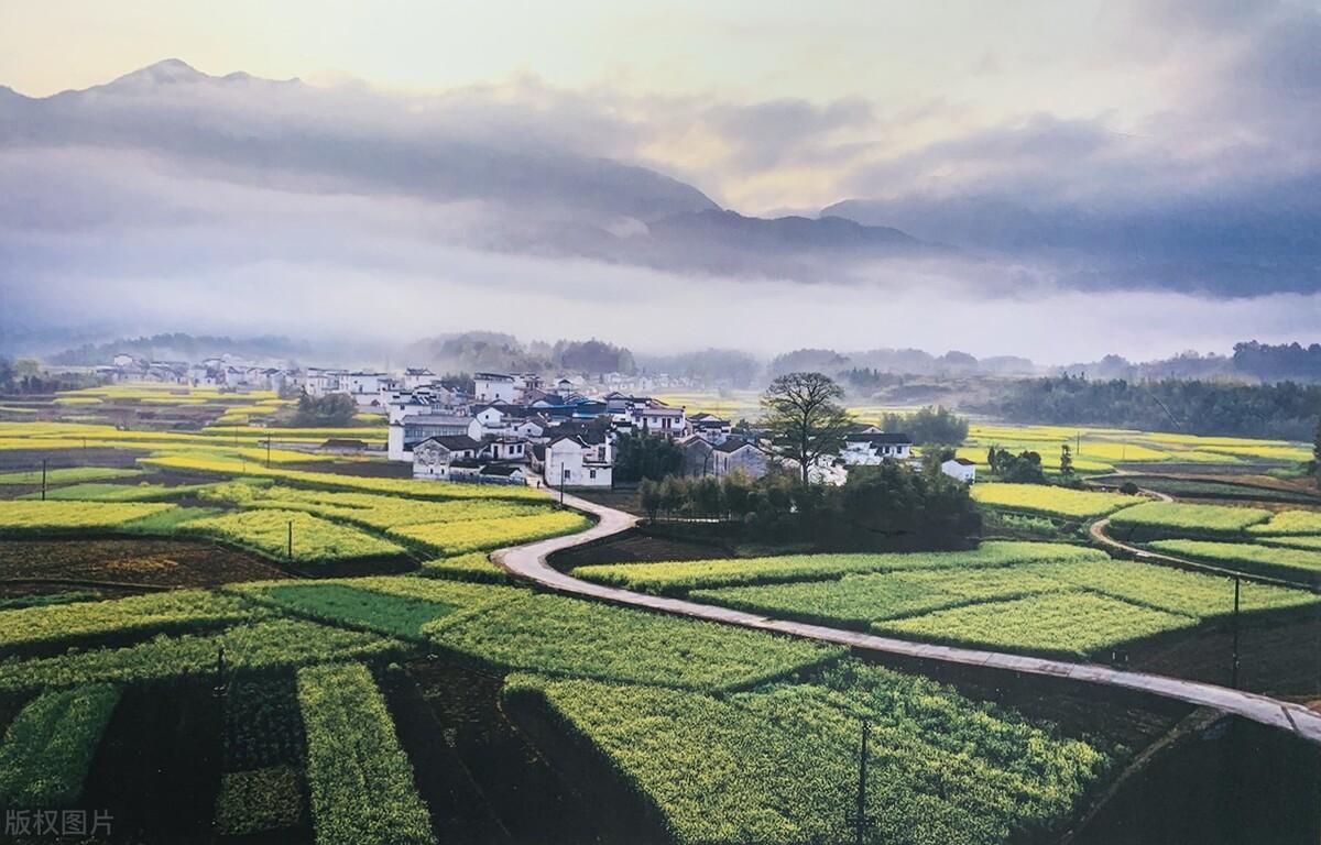 鄉村振興包括哪五個方面的振興(全面推進鄉村振興的五個問題)